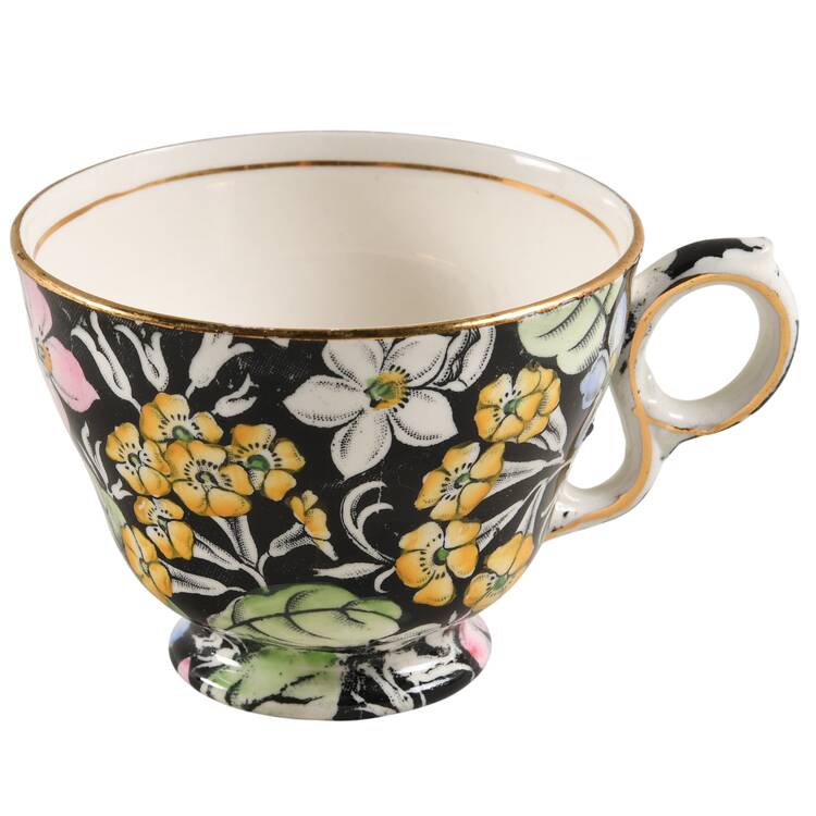 Spring Glory Black Footed Cup