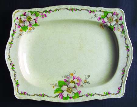 Apple Blossom Cream 10" Rectangular Serving Platter