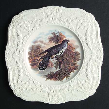 ROC56 Square Salad Plate