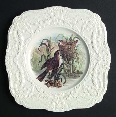 ROC56 Square Salad Plate