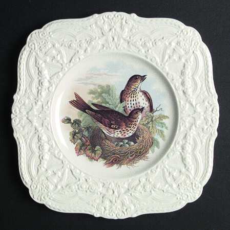 ROC56 Square Salad Plate
