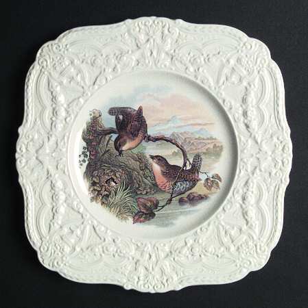 ROC56 Square Salad Plate