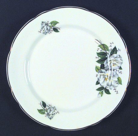 Camellia by Royal Stafford