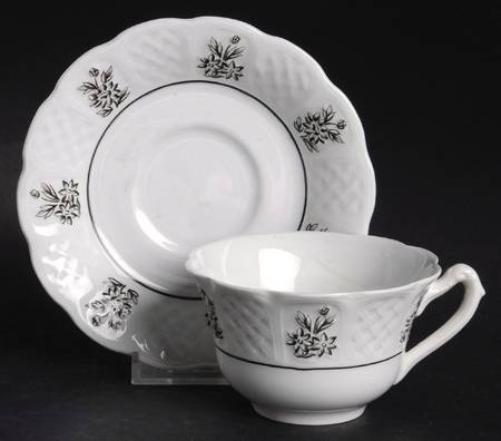 Winter Garden Flat Cup & Saucer Set