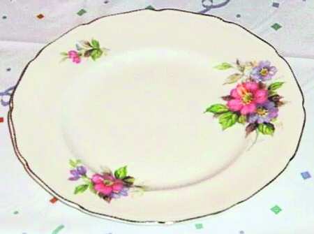 RSN2 Dinner Plate