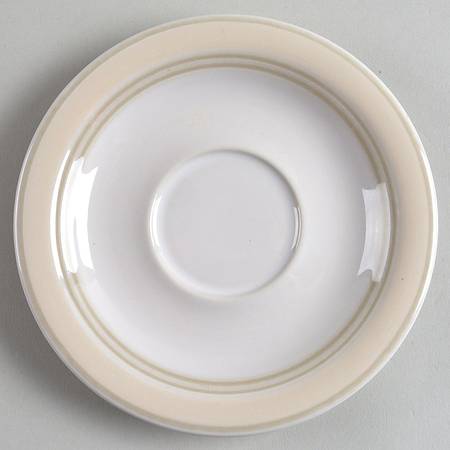 Diversity Saucer