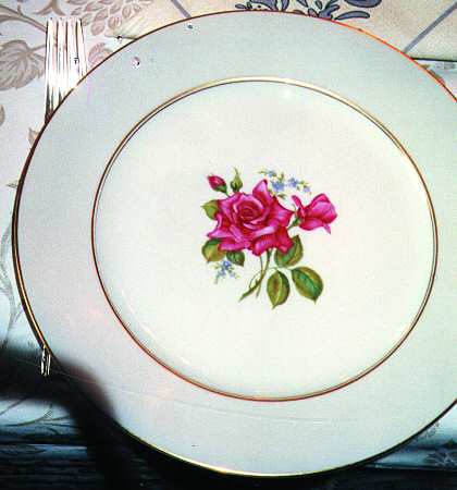 R643 Dinner Plate