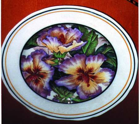 ROC59 Dinner Plate