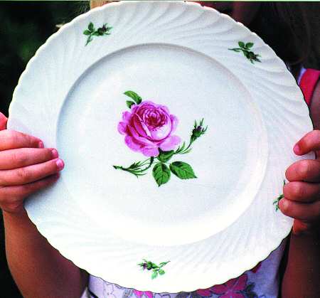 ROT128 Dinner Plate