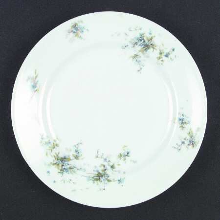 RSC23 Salad Plate