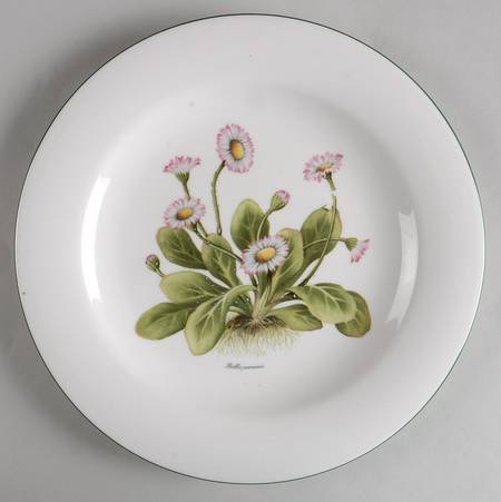 RVA20 Dinner Plate