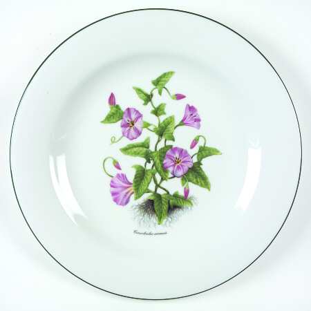 RVA20 Dinner Plate