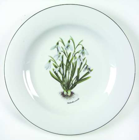 RVA20 Dinner Plate