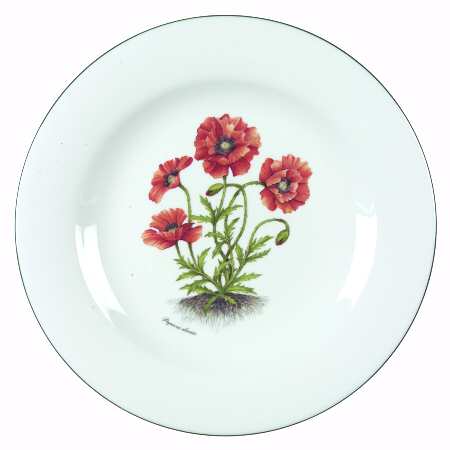 RVA20 Dinner Plate