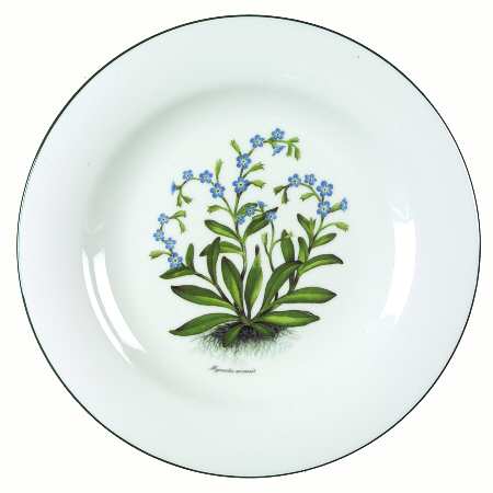 RVA20 Dinner Plate