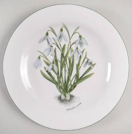 RVA20 Salad Plate