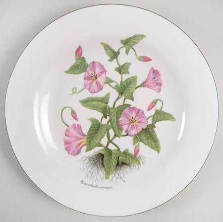 RVA20 Salad Plate