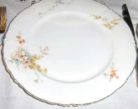 R707 Dinner Plate