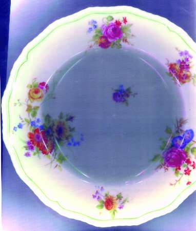 V778 Luncheon Plate