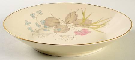 Parisian Spring Ivory (Platinum Trim) by Rosenthal - Continental