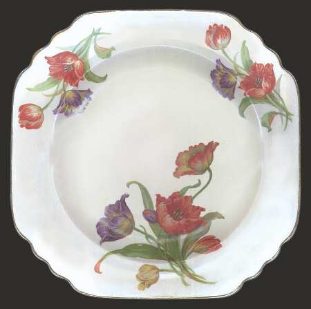Darwin Luncheon Plate