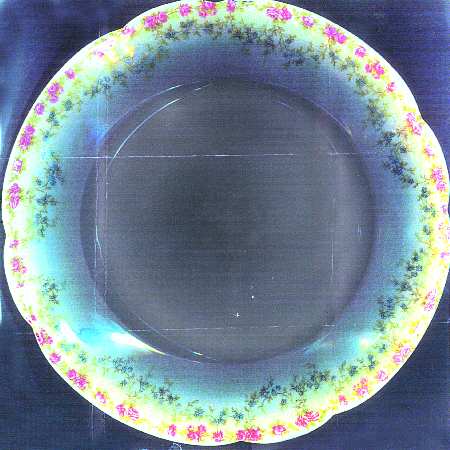 R1217 Dinner Plate