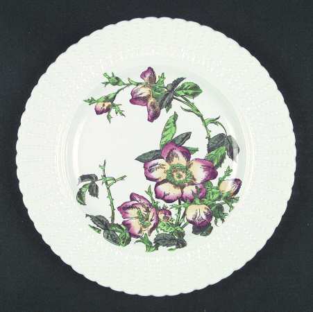 Flower Series Luncheon Plate by Royal Cauldon