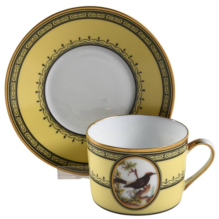 King's Garden Yellow Flat Cup & Saucer Set