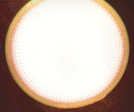 E5034 by Royal Doulton