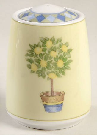 Carmina Salt Shaker