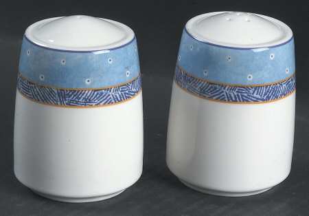 Denim Daisy Salt & Pepper Set