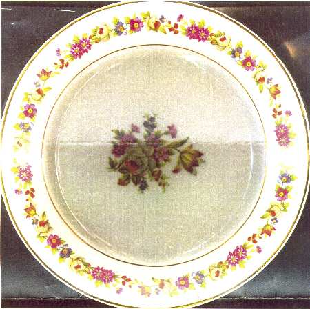 RYD13 Salad Plate