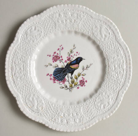 Aviary Dessert/Pie Plate