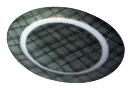 RYL116 Dinner Plate