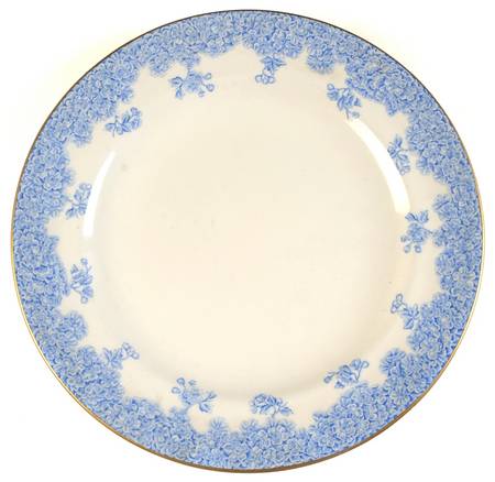 W2279 Lt Blue Dinner Plate
