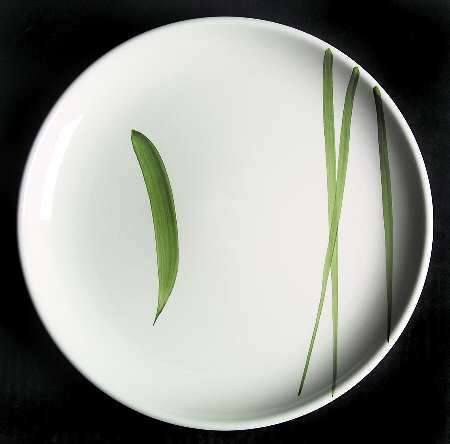 Lemongrass by Retroneu