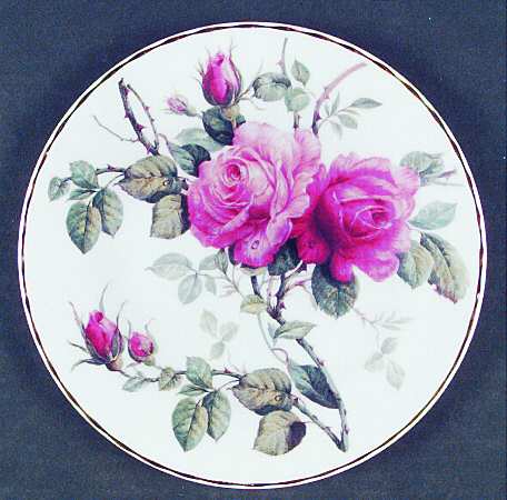 English Rose by Roy Kirkham