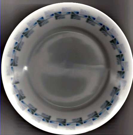 R828 Dinner Plate