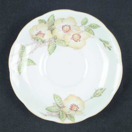 Wild Rose Saucer