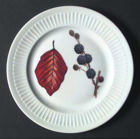 Shelton Orchard (No Verge) Salad Plate