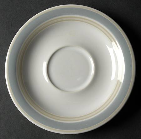 Diversity Blue Saucer
