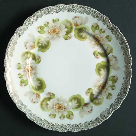 Water Lily by Rosenthal - Continental