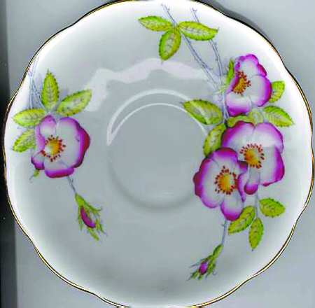 Wild Rose by Royal Albert
