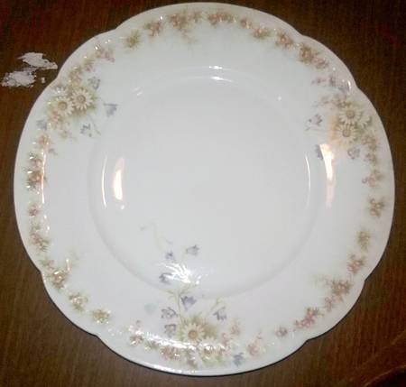 R881 Dinner Plate