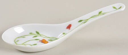 Histoire Naturelle Chinese Teaspoon