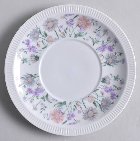 RDG2 Saucer