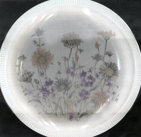 RDG2 Dinner Plate