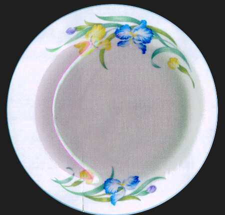 RVA28 Salad Plate