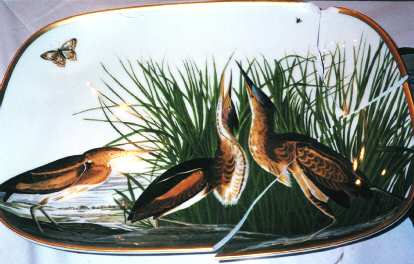 Birds of America by Rosenthal - Continental