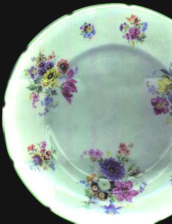 RD114 Dinner Plate